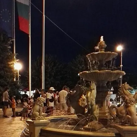 лесо-зара студио