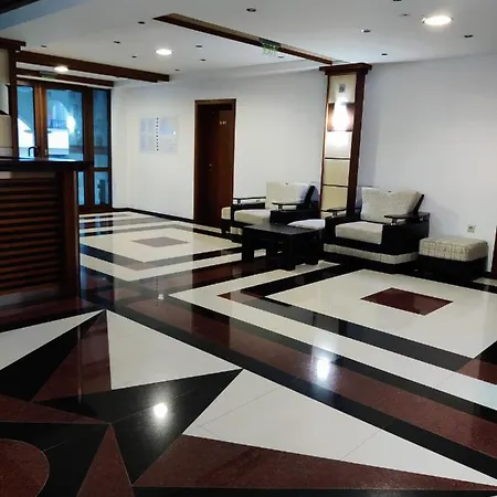 лесо-зара студио