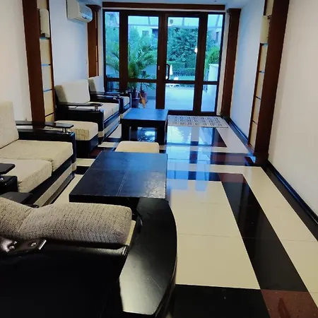 лесо-зара студио