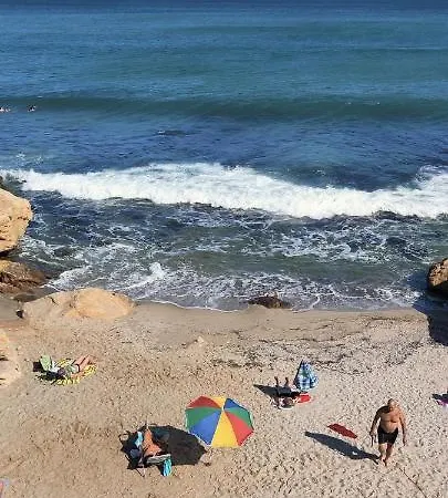 лесо-зара студио Ravda