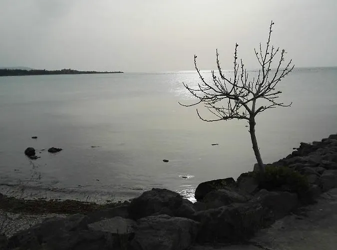 лесо-зара студио Апартамент Равда