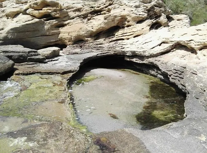 лесо-зара студио Равда