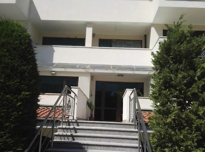 лесо-зара студио Равда