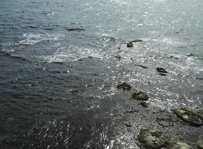 Апартамент лесо-зара студио Равда