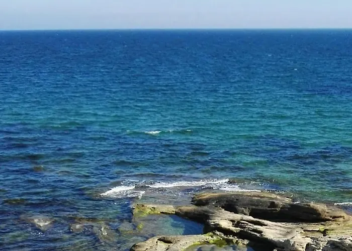 лесо-зара студио * Равда