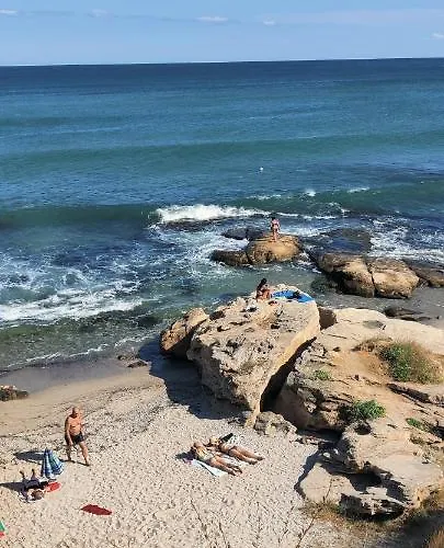 лесо-зара студио *