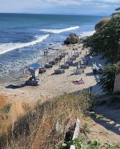 лесо-зара студио Равда