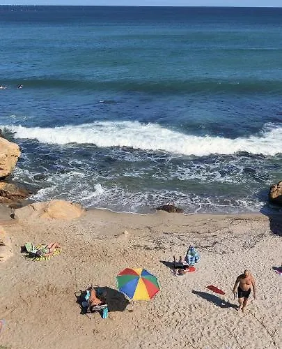 лесо-зара студио Равда