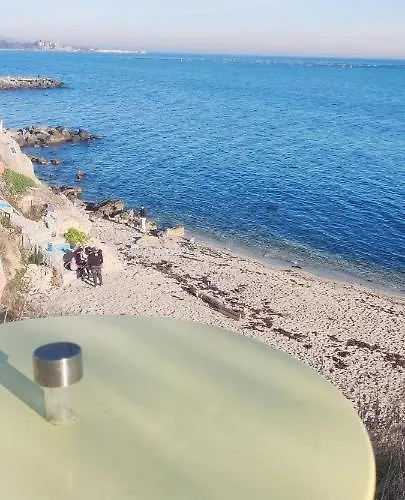 лесо-зара студио * Равда