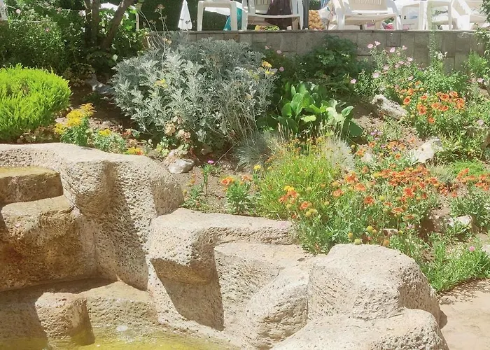 лесо-зара студио Апартамент