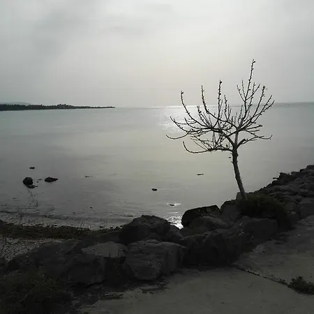 лесо-зара студио Apartment Ravda