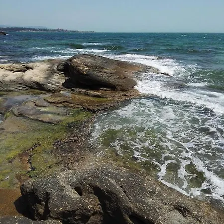 лесо-зара студио Apartment