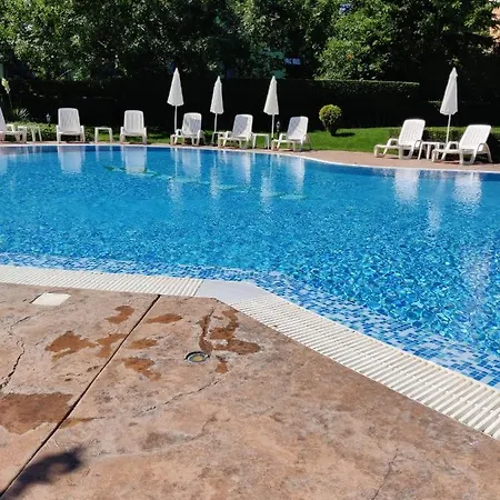 Apartment лесо-зара студио *
