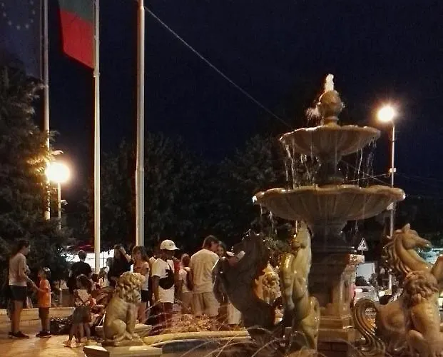 лесо-зара студио