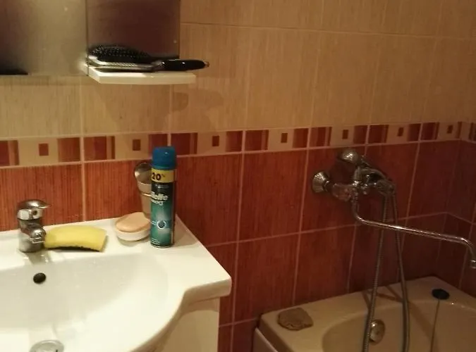 лесо-зара студио *