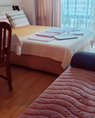 лесо-зара студио *